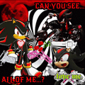 Shadow-the-hedgehog-awesome-1.gif