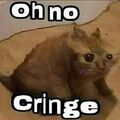 Cringe.jpg